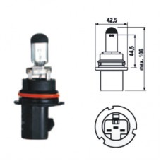 LAMPADA 9004 - 12 VOLT 60/55W
