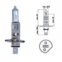 LAMPADA H1 - 12 VOLT 55W